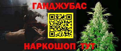 прущие грибы Гусиноозёрск