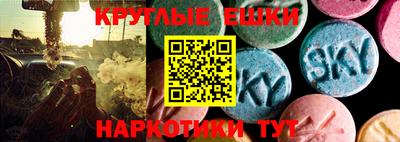 a pvp Гусев