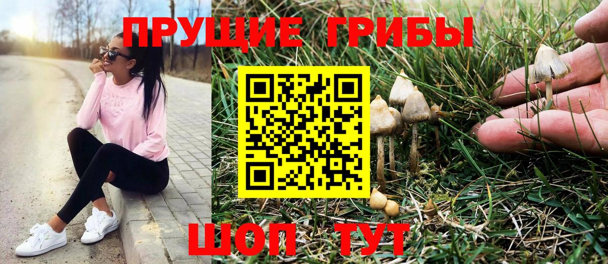 Галлюциногенные грибы MAGIC MUSHROOMS  где купить наркотик  Красный Сулин  Вход с VPN 